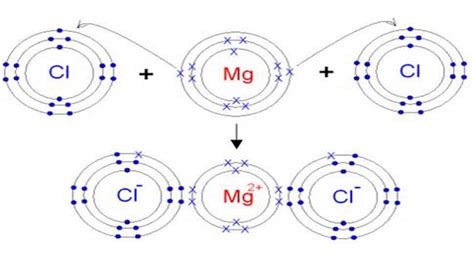 What are Ionic Compounds? - Definition, Structure, Properties ...