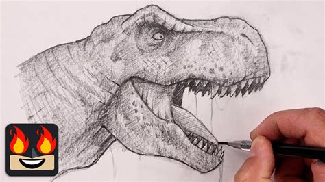 T Rex Dinosaur Drawing