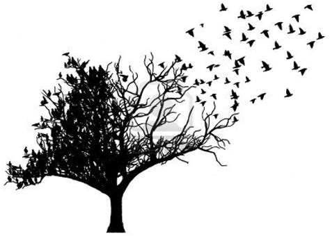 birds flying from tree drawing - savedrebounderexercisesssss