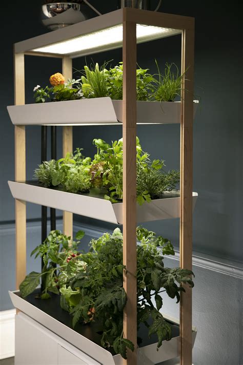 Rise Gardens raises seed funding for an indoor hydroponic gardening ...