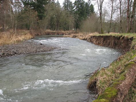 Is Your Stream Bank Heading Downstream? | OregonLive.com