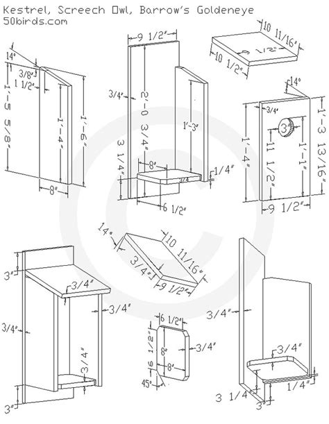 Printable Screech Owl Box Plans - Printable Templates