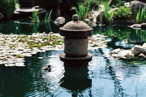 How a Himeji landscape designer rescued Adelaide's 'garden of ...