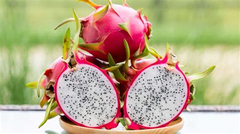 Dragon Fruit Plant Care: How to Grow Dragon Fruit (Pitaya)