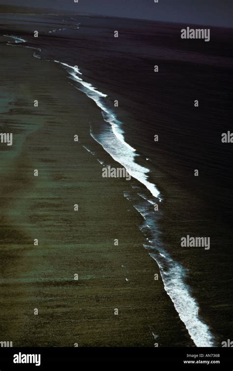 Whale Shark migration route Stock Photo - Alamy