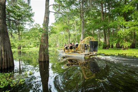 Must-Experience Louisiana Swamp Tours