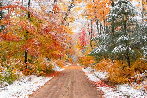 Michigan Nut Photography | Winter in Michigan