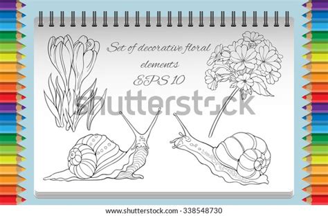 Coloring Page Isolated Images Flowers Grass Stock Vector (Royalty Free ...