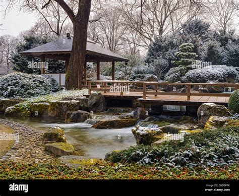 Winter in the Japanese Garden, Augsburg Botanical Garden Stock Photo ...