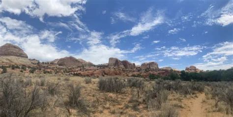 10 Best Hikes and Trails in Grand Staircase - Escalante National ...