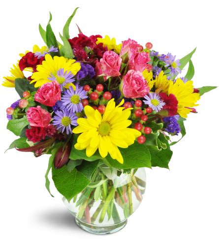 Blooming Flowers And Gifts Santa Ana | Best Flower Site