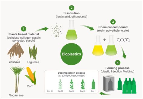 Bioplastics : Classification, Types and Uses