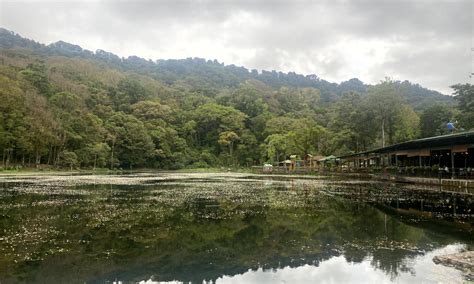 Selva negra / Matagalpa, Nicaragua ⋆ The Passenger