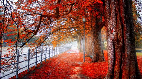 Autumn Park Pathway 4K Ultra HD Wallpaper