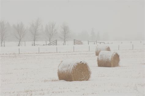 Winter On a Farm Archives - Hull-O Farms