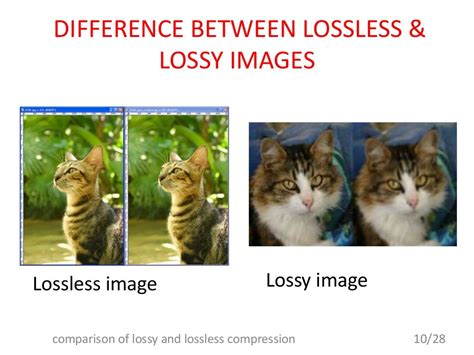 comparision of lossy and lossless image compression using various alg…