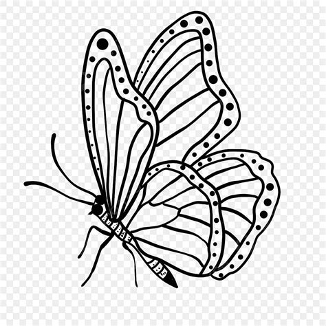 Pollinating Striped Butterfly Butterfly Clipart Black And White ...