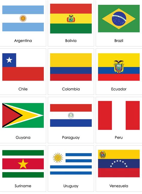 Flags of South American Countries | AMI Digital