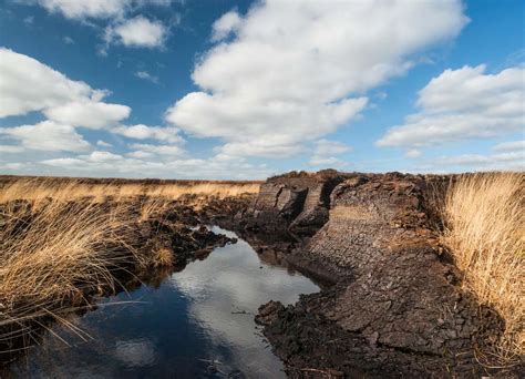 Why You Should Care About Peat Bogs