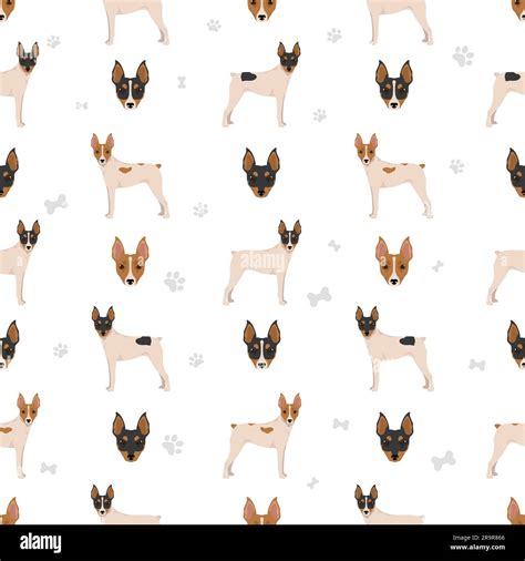 Fox Terrier miniature seamless pattern. Different coat colors set ...