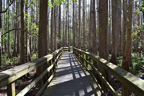 No Bad Days RVing: Highlands Hammock State Park