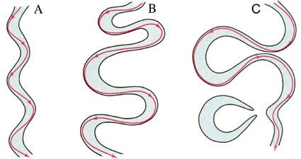 Meander Formation and Features of Meandering Streams