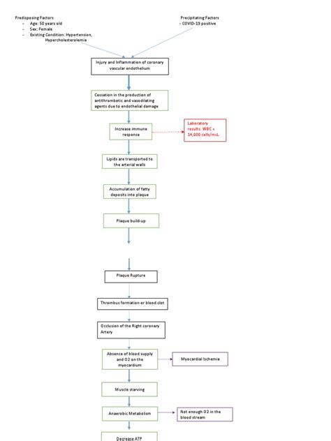 Pathophysio - Stemi - Final | PDF | Myocardial Infarction | Causes Of Death