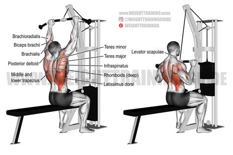 wide grip v bar lat pulldown > OFF-70%