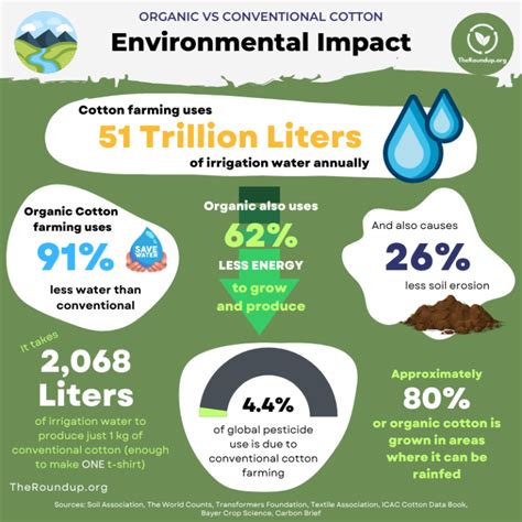 47 Latest Organic Cotton Facts and Statistics (Updated 2024)