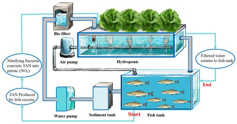 Aquaponics Water Tanks