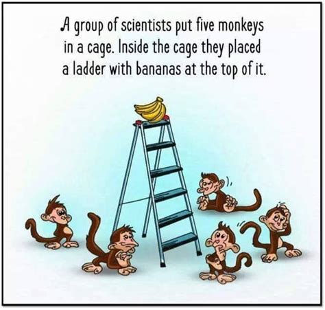 Alvin Foo on Twitter: "Organizational Culture and the 5 Monkeys ...