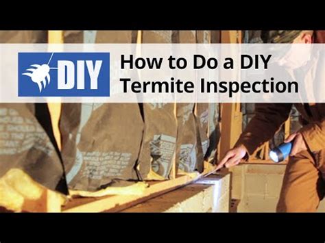 How to Do A Termite Inspection - YouTube