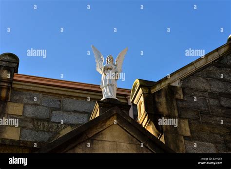 St columba's long tower church derry hi-res stock photography and ...