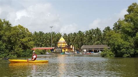 Goa Kayaking - Day Tours (Vasco da Gama) - All You Need to Know BEFORE ...