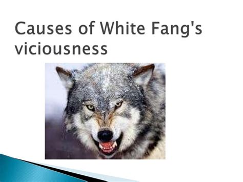 White fang theme