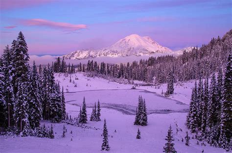 Mount Rainier winter Photograph by Lynn Hopwood - Pixels