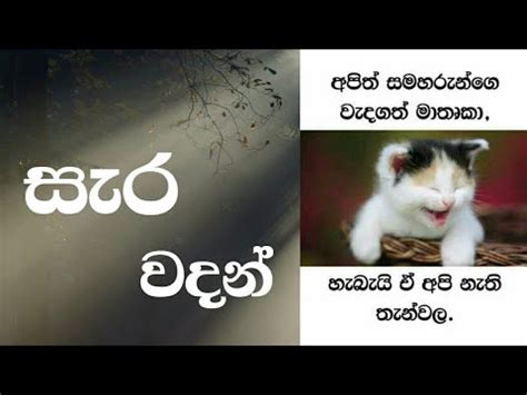 Wadan|Sara Wadan|සැර වදන් සිංහල.Wadan Official - YouTube