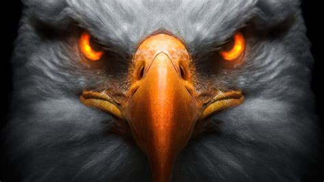 Eagle Red Glowing Eyes, eagle, birds, artist, artwork, digital-art, HD ...