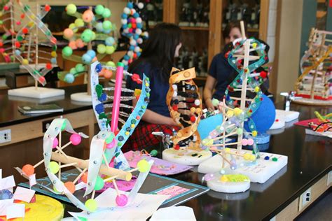 Freshmen biology students create colorful models of cells and DNA every ...