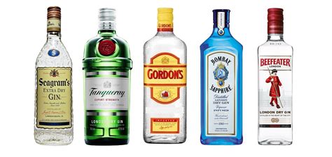 Interesting facts about gin | Just Fun Facts