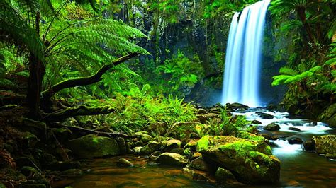 HD wallpaper: waterfall, amazon, nature, body of water, rainforest ...