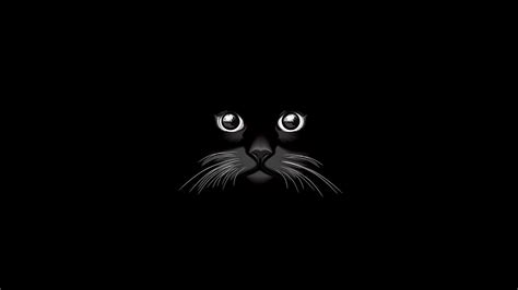 Cat Minimalist Wallpapers - Wallpaper Cave