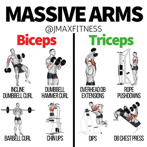 The Best Bulging Bigger Biceps Workout To Grow Your Arms - GymGuider ...