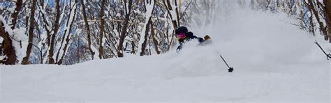 5 Steps to Skiing Powder Like a Pro | Curated.com