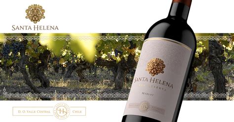 The Winery | Santa Helena