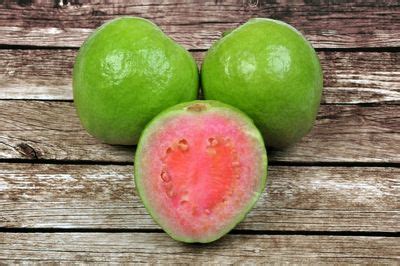 Seed Grown Guava Trees: How And When To Plant Guava Seeds