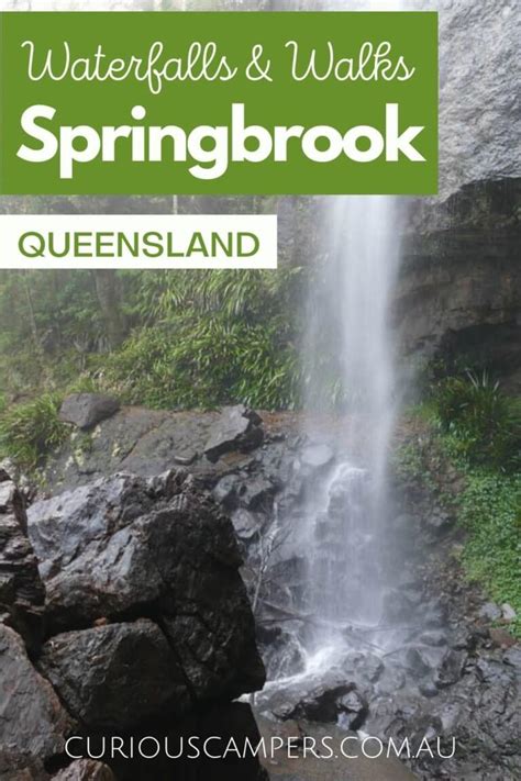 Springbrook Waterfalls & Walks | Full Guide