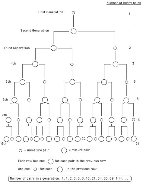 THE FIBONACCI SEQUENCE, SPIRALS AND THE GOLDEN MEAN