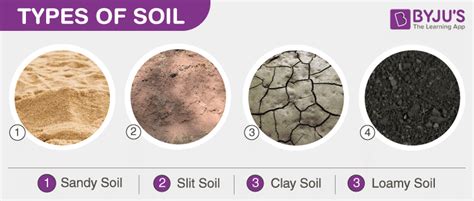 Where Is The Best Soil In The Usa? - CCI Greenheart