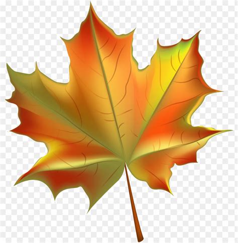 Beautiful Autumn Leaf Transparent Png Clip Art Image - Autumn Leaf ...